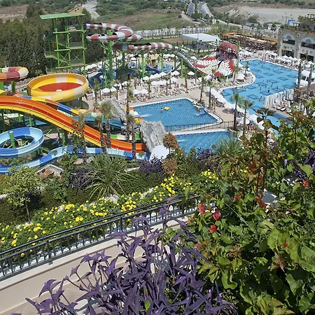 Crystal Sunset Pearl Collection 5* シダ