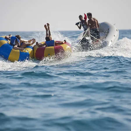 リゾート Crystal Sunset Pearl Collection シダ