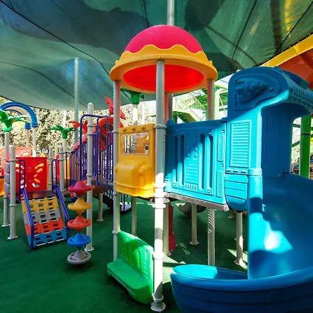 Crystal Sunset Pearl Collection シダ